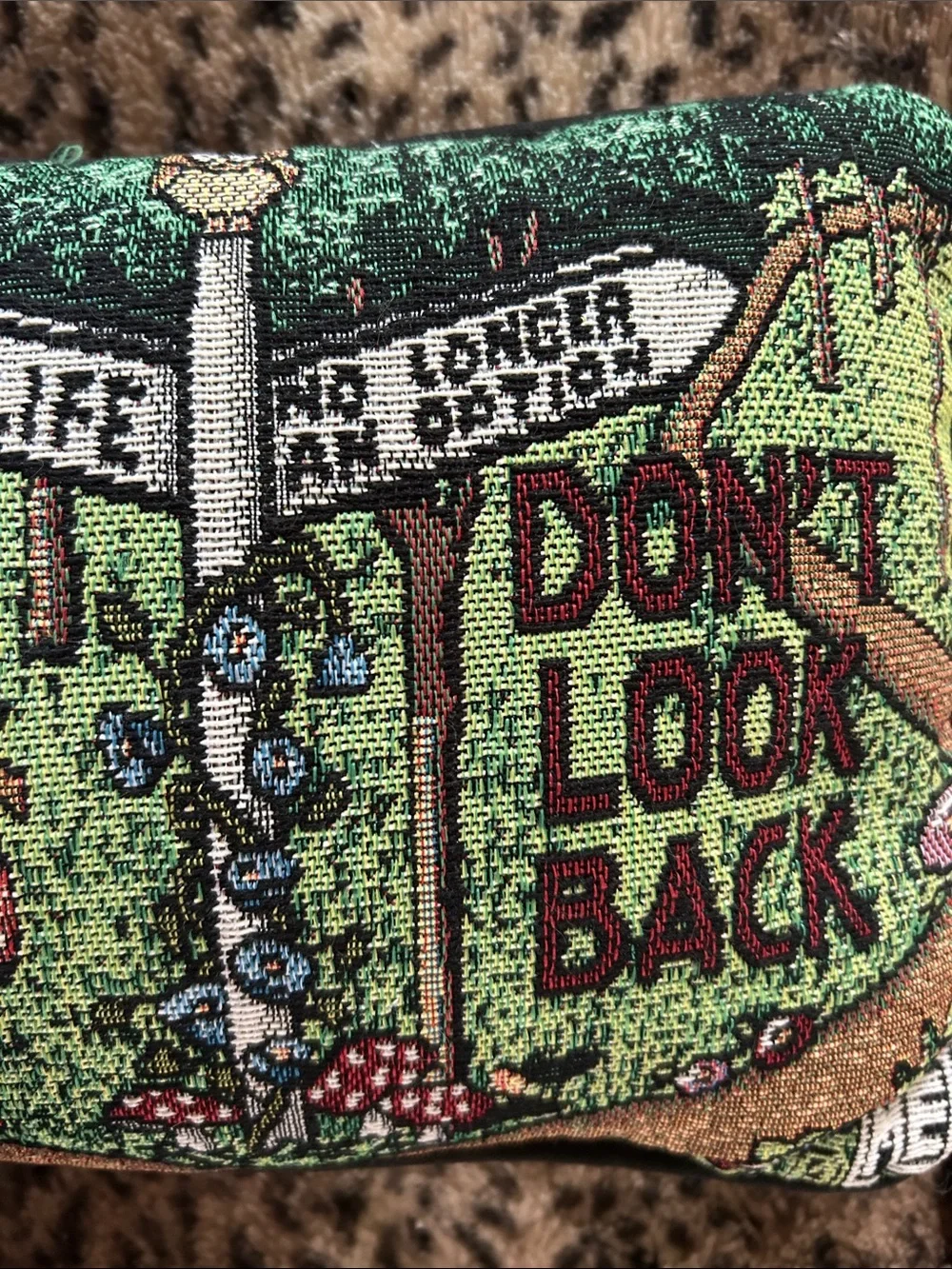 Mary Engelbreit Green and Brown 'Don't Look Back' Decorative Accent Pillow